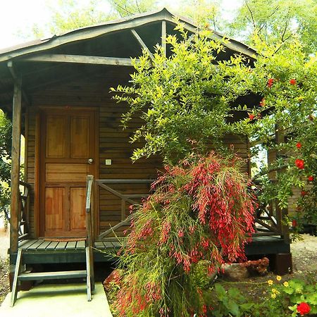 Merhaba Bungalow Ξενοδοχείο Beykonak Δωμάτιο φωτογραφία