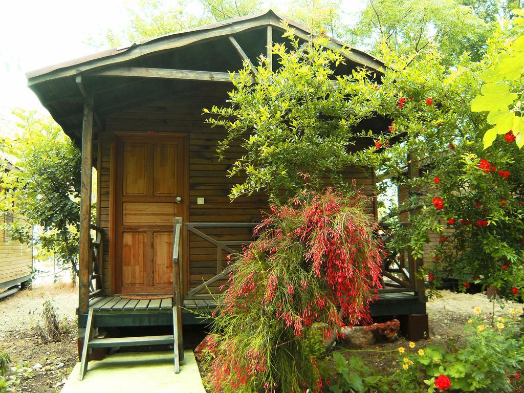 Merhaba Bungalow Ξενοδοχείο Beykonak Δωμάτιο φωτογραφία